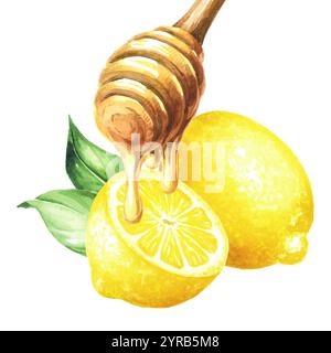 Miele dolce con salsa di legno e limone fresco. Illustrazione ad acquerello disegnata a mano isolata su sfondo bianco Foto Stock