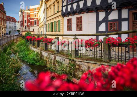 Una pittoresca scena a Quedlinburg, in Germania, caratterizzata da edifici affascinanti accanto a un piccolo canale, adornati da vivaci fiori rossi lungo la ringhiera. Foto Stock