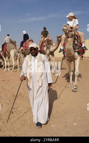 Kairo Ägypten, 20241124, Kamele mit Touristen *** Cairo Egitto, 20241124, cammelli con turisti Foto Stock