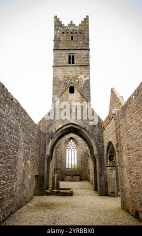 Irlanda, Contea di Mayo, Rosserk, Rosserk Friary hanno rovinato gli interni Foto Stock