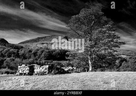 Spettacolare vista in bianco e nero di una piccola rovina con la cima scoscesa di Moel Hebog sullo sfondo Foto Stock