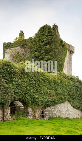 Irlanda, contea di Mayo, Deelcastle, rovine del castello di Deel, bruciato dall'IRA nel 1922 Foto Stock