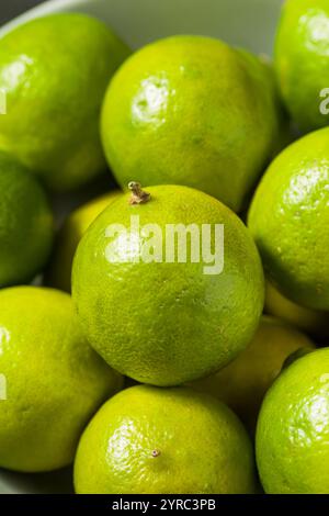 Ciotola verde acida pronta per mangiare Foto Stock