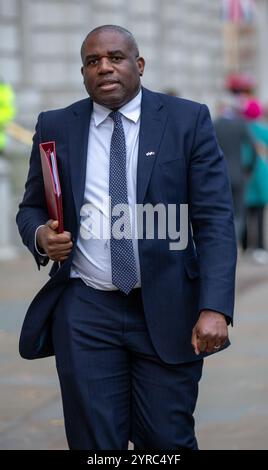 Londra, Regno Unito. 3 dicembre 2024. David Lammy, ministro degli Esteri visto camminare a Whitehall credito: Richard Lincoln/Alamy Live News Foto Stock