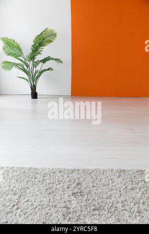 pianta all'interno di una stanza bianca e arancione vuota Foto Stock