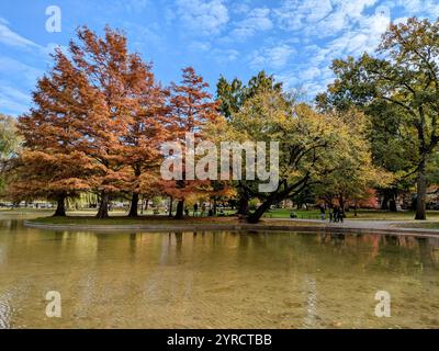 Boston Common in autunno Foto Stock