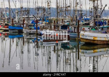 Barche da pesca nel porto commerciale di Newport, Oregon, Stati Uniti [Nessuna pubblicazione; solo licenze editoriali] Foto Stock