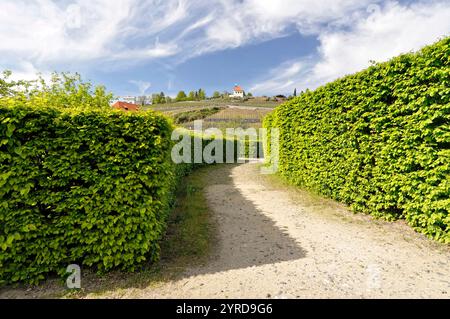 Trója, vodní kanál a Stromovka / Troia, canale d'acqua e Stromovka Foto Stock