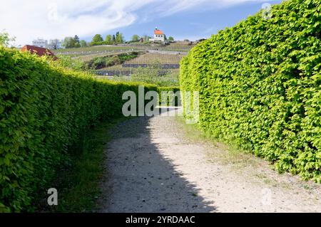 Trója, vodní kanál a Stromovka / Troia, canale d'acqua e Stromovka Foto Stock