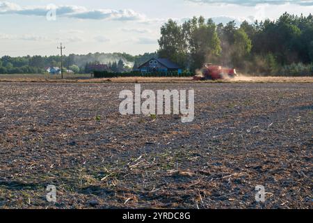 una trebbiatrice rossa ara terreni agricoli a tarda sera d'estate Foto Stock