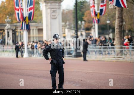 Londra, Regno Unito. 3 dicembre 2024. Gli agenti di polizia sono visti pattugliare il Mall. L'Amir dello Stato del Qatar, accompagnato dallo sceicco Jawaher bint Hamad bin Suhaim al Thani, effettua una visita di Stato allo United Credit: SOPA Images Limited/Alamy Live News Foto Stock