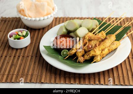 Sate Ayam Bumbu Kuning o pollo satay con spezie curcuma, servito con Lontong e Kerupuk, popolare cibo di strada indonesiano Foto Stock