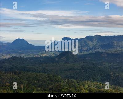 Lussureggianti montagne verdi si estendono all'orizzonte, bagnate dalla luce soffusa del sole, mettendo in mostra la bellezza della natura. Foto Stock
