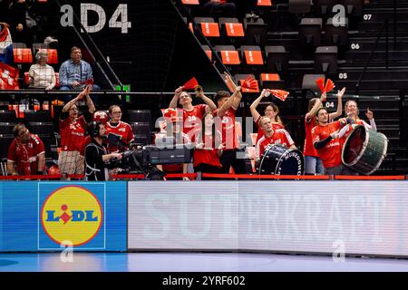 Basilea, Svizzera. 3 dicembre 2024. Basilea, Svizzera, 03 dicembre 2024: Tifosi svizzeri durante la partita femminile EHF Euro 2024 tra Croazia e Svizzera a St. Jakobshalle a Basilea, Svizzera. Philipp Kresnik (Philipp Kresnik/SPP) credito: SPP Sport Press Photo. /Alamy Live News Foto Stock