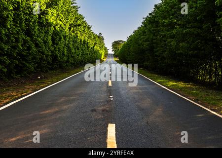 Carreggiata asfaltata vuota nella zona rurale del Brasile Foto Stock