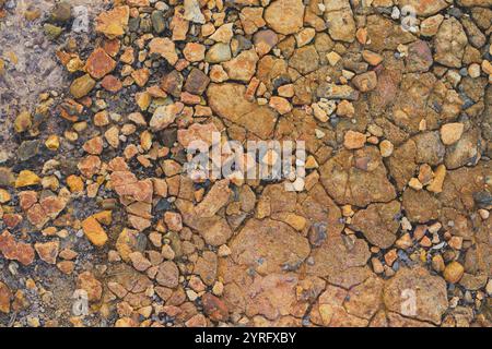 Una vista dettagliata di una superficie rocciosa incrinata, che mostra i dettagli intricati del terreno. Foto Stock