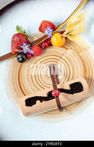 Presentazione moderna ed elegante di mousse al cioccolato alla frutta o parfait semi-surgelato Foto Stock