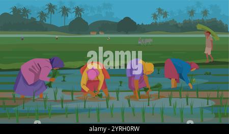 Agricoltori indiani nei campi di riso. agricoltori che lavorano in terreni agricoli, lavoratori in villaggio Illustrazione Vettoriale
