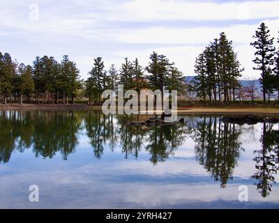 Lo stagno Oizumi-ga-ike al tempio Motsuji di Hiraizumi, Giappone. Foto Stock