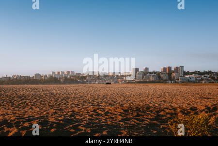 La calda luce del sole illumina la spiaggia sabbiosa e il lontano paesaggio urbano di Porto, creando una tranquilla scena costiera a Cabedelo, Vila Nova de Gaia, portogallo Foto Stock