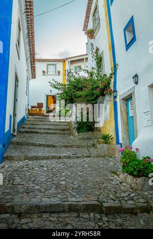 Il vicolo acciottolato si arrampica tra case colorate adornate da vivaci bouganville, creando un'affascinante scena nella città medievale di Obidos, portogallo Foto Stock