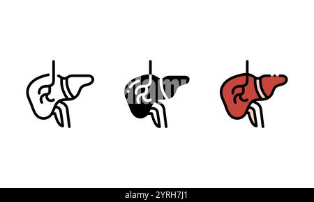 Icona del fegato anatomico umano. icona vettoriale con contorno, glifo e stile contorno pieno. perfetto per elementi di progettazione, interfacce utente e altro Illustrazione Vettoriale