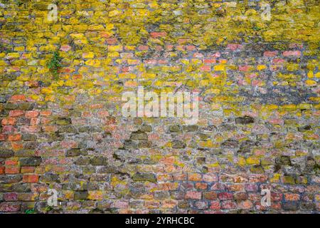 Vecchio muro di colore rosso/verde come sfondo rustico. Muro di mattoni ricoperto di muschio. Foto Stock