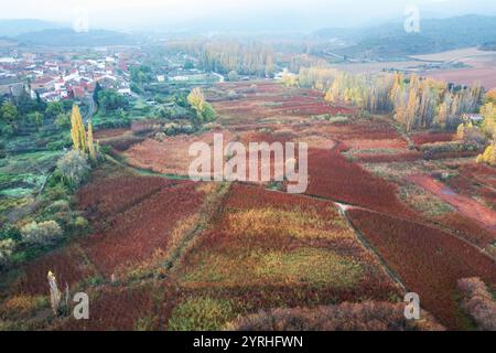 Fotografia aerea che mostra gli ampi campi di vimini di Canamares, Cuenca, Spagna, circondato da fogliame autunnale, il paesaggio mostra un mosaico Foto Stock