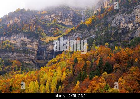 Scopri gli splendidi colori autunnali di Ordesa e del Parco Nazionale del Monte Perdido a Huesca, in Spagna, il vivace fogliame contrasta splendidamente con la nebbia Foto Stock
