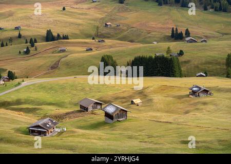 Splendida vista panoramica sull'Alpe di Siusi nelle Dolomiti italiane in autunno tradizionali capanne in legno sparse tra ondulati idromele verdi e marroni Foto Stock