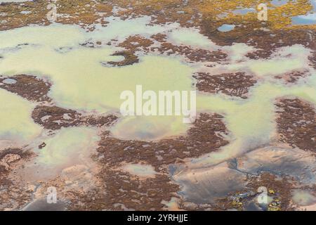 Splendida vista aerea della costa meridionale dell'Islanda, che mostra paesaggi diversi con colori e texture vividi, Una miscela unica di bellezza naturale e geolo Foto Stock