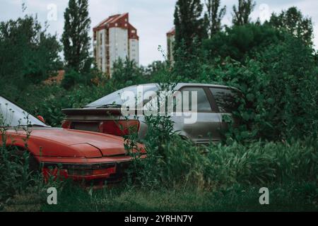 Vecchie auto abbandonate ricoperte di erba nei sobborghi della città con edifici sullo sfondo Foto Stock