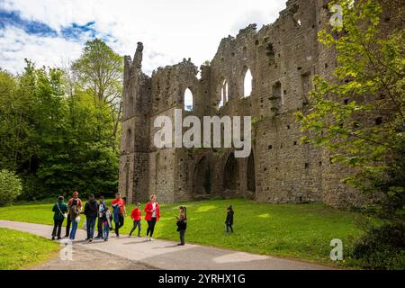 Irlanda, contea di Westmeath, Mullingar, Belvedere House and Gardens, The Jealous Wall Foto Stock