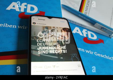 Auf einem smartphone wurde der Instagram-account der Jugendorganization der Partei alternative für Deutschland AFD, Junge alternative für Deutschland JA, aufgerufen. Schnelsen Hamburg *** su smartphone, l'account Instagram dell'organizzazione giovanile dell'alternativa per la Germania partito AFD , Junge alternative für Deutschland JA , si chiamava Schnelsen Hamburg Foto Stock