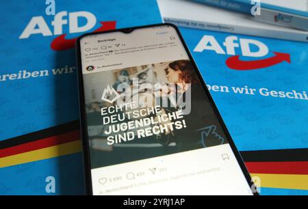 Auf einem smartphone wurde der Instagram-account der Jugendorganization der Partei alternative für Deutschland AFD, Junge alternative für Deutschland JA, aufgerufen. Schnelsen Hamburg *** su smartphone, l'account Instagram dell'organizzazione giovanile dell'alternativa per la Germania partito AFD , Junge alternative für Deutschland JA , si chiamava Schnelsen Hamburg Foto Stock