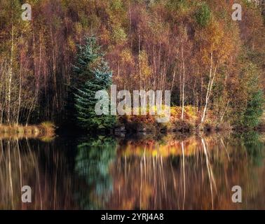 Tarn Hows Autumn Colors Reflection Lake District Cumbria UK Foto Stock