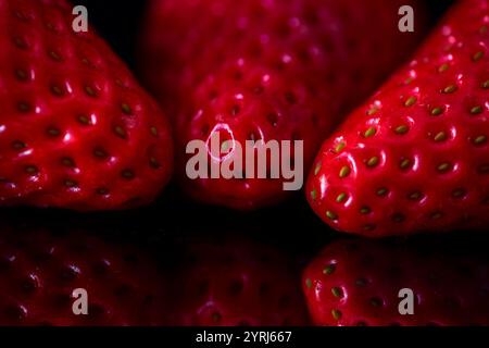 Fragola fresca su sfondo nero. Vista ravvicinata Foto Stock