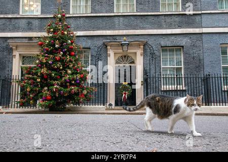 Londra, Inghilterra, Regno Unito. 4 dicembre 2024. LARRY, il gatto di Downing Street, si vede fuori dal numero 10. (Credit Image: © Tayfun Salci/ZUMA Press Wire) SOLO PER USO EDITORIALE! Non per USO commerciale! Foto Stock