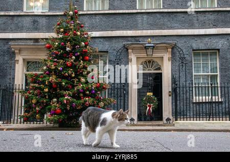 Londra, Inghilterra, Regno Unito. 4 dicembre 2024. LARRY, il gatto di Downing Street, si vede fuori dal numero 10. (Credit Image: © Tayfun Salci/ZUMA Press Wire) SOLO PER USO EDITORIALE! Non per USO commerciale! Foto Stock