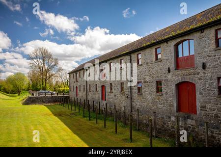 Irlanda, contea di Westmeath, Kilbeggan, ex magazzino accanto al bacino vuoto del Canal grande Foto Stock