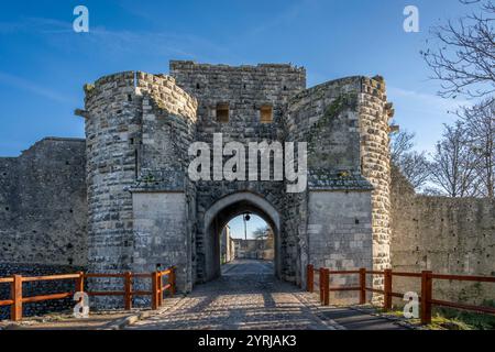 Provins, Francia - 11 30 2024: Veduta del bastione e della porta di San Giovanni della città medievale Foto Stock