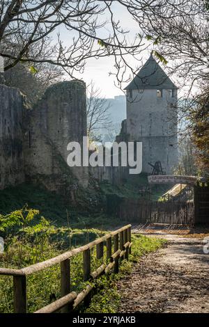 Provins, Francia - 11 30 2024: Veduta del bastione e della Torre dei maiali della città medievale Foto Stock