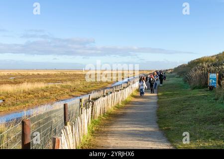 Lincolnshire fens riserva naturale donna Nook persone in visita alla colonia di foche grigie donna Nook vicino a North Somercotes Lincolnshire Inghilterra Regno Unito Europa Foto Stock