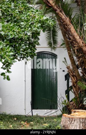 Porta di legno a doghe verdi con pareti bianche, ingresso all'edificio. porta a doghe con maniglia, circondata da palme e vegetazione verde, molte aree verdi Foto Stock