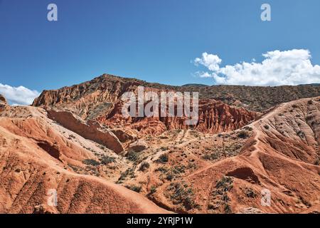 Pittoresco Skazka Canyon sulla riva meridionale del lago Issyk-Kul, Kirghizistan. Destinazione di viaggio, punto di riferimento Kirgiziya. Canyon da favola estivo con co Foto Stock