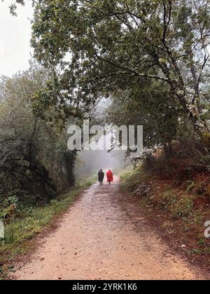 Due persone non identificate in impermeabili colorati camminano lungo un sentiero sterrato circondato da lussureggianti alberi verdi in una foresta nebbiosa sotto la pioggia. L'atmosfera serena Foto Stock