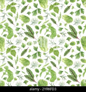 Il microverde fresco dell'acquerello lascia uno sfondo isolato senza cuciture. Basilico, origano, foglia di insalata di lattuga, barbabietola da bietola, rosmarino, aneto, prezzemolo, erbe Foto Stock
