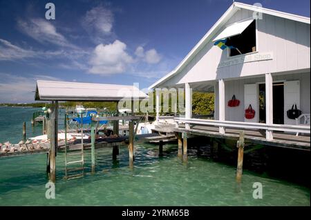 Bahamas, Abacos, Loyalist Cays , Man o War Cay: Porto Nord, molo delle barche Foto Stock