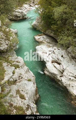 Acque turchesi del fiume Soca. Alpi Giulie. Soca. Primorska. Slovenia. Foto Stock