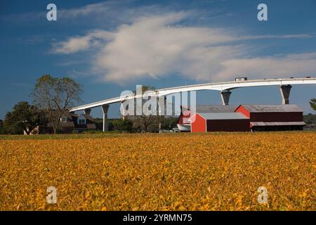Stati Uniti d'America, Maryland, riva occidentale della baia di Chesapeake, nelle Isole Salomone, Patuxent River Bridge e fattoria Foto Stock